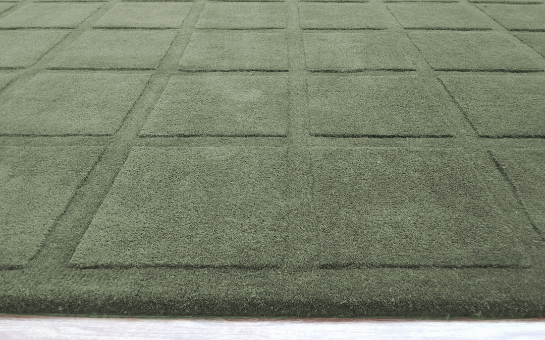 Forma Modern Rug 100% Soft Green Color Hand Tufted Rug