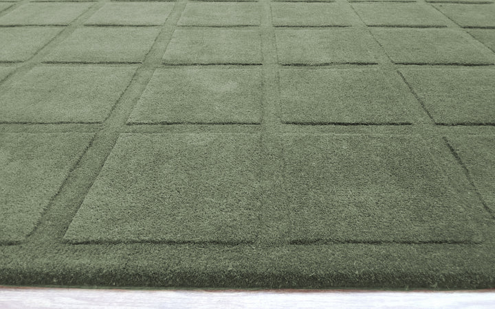 Forma Modern Rug 100% Soft Green Color Hand Tufted Rug
