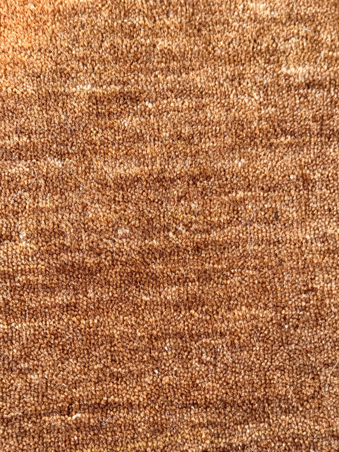 Veloura Burnt Amber Color Handloom Knotted Rug 100% Pure Wool