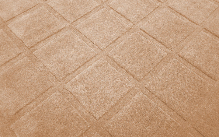 Forma Modern Rug 100% Wool Beige Color Hand Tufted Rug
