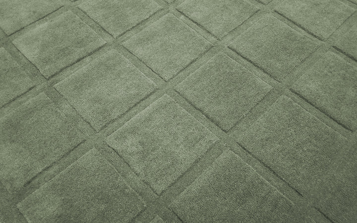 Forma Modern Rug 100% Soft Green Color Hand Tufted Rug